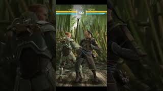 Shadow fight gameplay