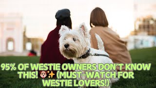 95% of Westie Owners Don’t Know This! 🐶✨ (Must-Watch for Westie Lovers!)