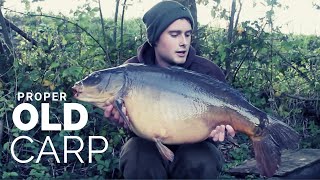 CATCHING OLD CARP ON A DAY TICKET