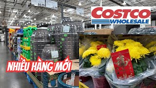 Siêu Thị COSTCO Bắt Đầu Bán Hàng Phục Vụ Tết Người Việt ở Hải Ngoại