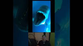 Most Strangest Sounds Recorded In Ocean #shorts