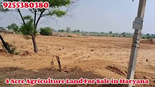 4 Acre Agriculture Land For Sale in Haryana | 9255380380 | #farming #sale