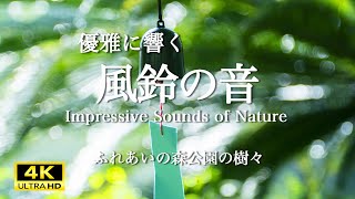 極限的音色の風鈴. そよ風に揺れる極め付きの風鈴の音. The sound of a wind chime with an extreme tone.