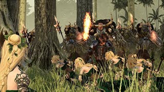 Anti-Wood Elf Chaos - Total War Warhammer 2: Online Battles #24