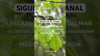 Meditación Guiada - Relajación Cuerpo, Mente y Emociones #relajación #meditacionguiada #meditacion