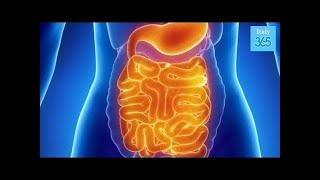 Negli anni potresti aver accumulato 15kg di muco nell'intestino  Ecco come eliminarlo per stare