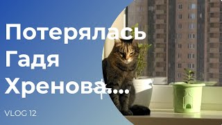 Vlog 12. Кошка на подоконнике/картошечка/шью, вяжу и надеюсь....