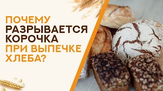 Почему при выпечке у хлеба РАЗРЫВАЕТСЯ КОРОЧКА? Виды подрывов