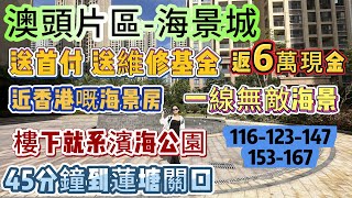 最近香港嘅海景房 返6萬現金【澳頭片區-海景城】送首付 送維修基金 送契稅 | 樓下就系濱海公園 45分鐘到蓮塘關口 一線無敵海景 | 116-123-147-153-167畀你選擇#澳頭 #海景房