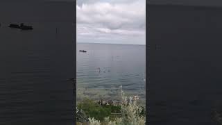 Bay Trail Run 08, Melbourne VIC Australia I #Shorts #listen #calming #running #ocean #baytrail