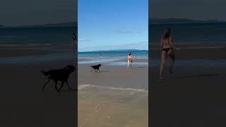 Hot summer bikini  beach Auckland #bikini #beach #auckland #jaythebell