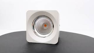 Ceiling Mounted Spotlight-BLD-8911-10W