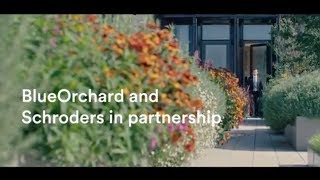 BlueOrchard and Schroders in partnership