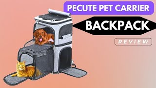 Pecute Pet Carrier Backpack (2023 Review)