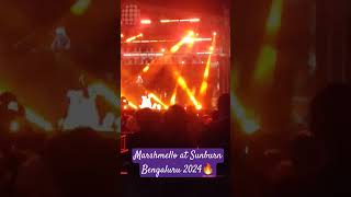 @marshmello played the craziest concert at Bengaluru 22 march  for holi #edm #marshmello  #sunburn