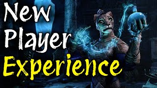 Elder Scrolls Online: New Player Experience