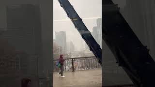 CN Tower Toronto Snowfall View #shorts #short #shortsvideo