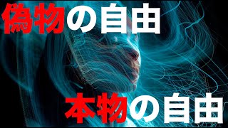 人類はいつ【個人】を手に入れたのか？【自由からの逃走#3】