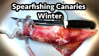 Spearfishing Canaries - Gran Canaria - Winter & Travel while Corona