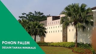 Pohon Palem : Desain Taman Dengan Pohon Palem – Desain Taman Minimalis Halaman Rumah