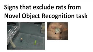 The signs that exclude rats from Novel object recognition (NOR) memory test: video 93