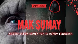 MAK SUMAY, MISTERI NENEK TUA PENGHUNI HUTAN SUMATERA (URBAN LEGEND)