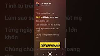 Thân Sinh Phụ Mẫu - Bìn, Jin Tuấn Nam #karaoke #relax #music