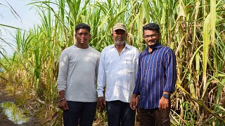 एकरी 157 टन ऊस उत्पादन | असे केले सुधारित व्यवस्थापन | Sugarcane Farming In Maharashtra