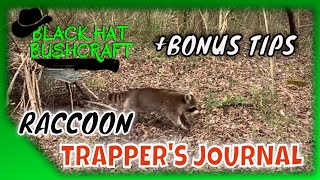 Trapping Journal: Raccoon