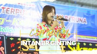 PERSADAN GINTING BABO SIPITU TERPUK RAS ANAK BERUNA || INTAN BR GINTING || LAGU KARO || 11-11-23