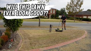 Last attempt to save this crappy lawn!! // early autumn front lawn mini renovation