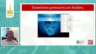 ISICEM, Mechanical ven, The meaning of driving pressures during assisted ventilation, Giacomo Bellan