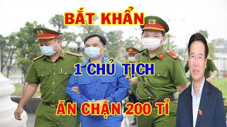 Tin tức nhanh và chính xác ngày 11/5/2023 Tin nóng việt nam mới nhất hôm nay | #NóngPlus