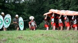 History Live! 2013 (The Festival of History), Kelmarsh Hall