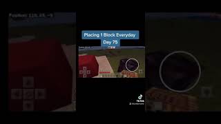 Placing 1 Block Everyday - Day 75