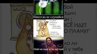 Как Вам такая мотивация? 😄 #мотивациядня #юмор #2024