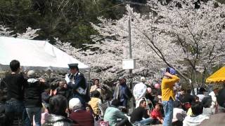 さくら祭り：歌謡ショー