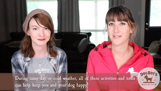 Rainy Day (or cold weather) Enrichment Activities For Dogs | Dog Training & Wellness | DogBoy's