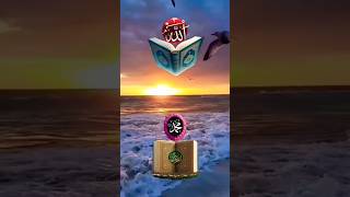 #islamicvideo #ststus #viralshorts #video #subhanallah #islamic #tiktok #