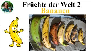 Früchte der Welt 2   Bananen Pflanzliche Rohkost