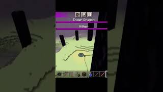 Minecraft Ender Dragon VS Wither