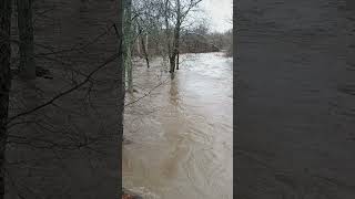 Pennypack creek 12-18-23 low tide flood