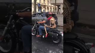 Motorcyclist has an interesting passenger ☠️ #shorts