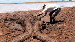 The Man Noticed That The Ground Under His Feet Was Moving, What He Found Was Simply Shocking!