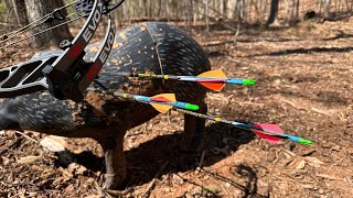 We're going to TAC  Dahlonega Georgia. What bow should I take?