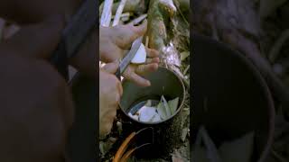 Primitive Skills - Making A Spoon, Seeking Forest Fruits | #Shorts