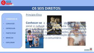 Os 3 Princípios da Educação Infantil