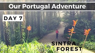 Day 7 - Exploring Sintra's MAGICAL Mountain Trails on Foot