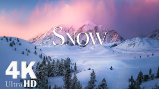 Winter Wonderland 4K - Peaceful Relaxing Music and Winter Nature Video Ultra HD.