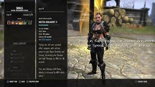 ESO - StamDK - Whip build - U50 Cyro